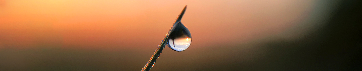 PRAYER AND TRANSFORMATION