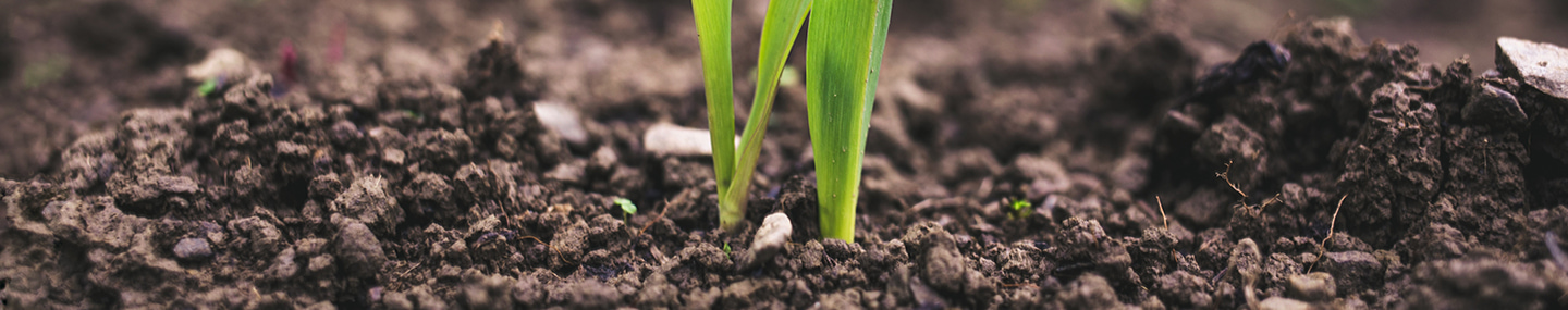 SELF-CONTROL IN GOD&#039;S STRENGTH