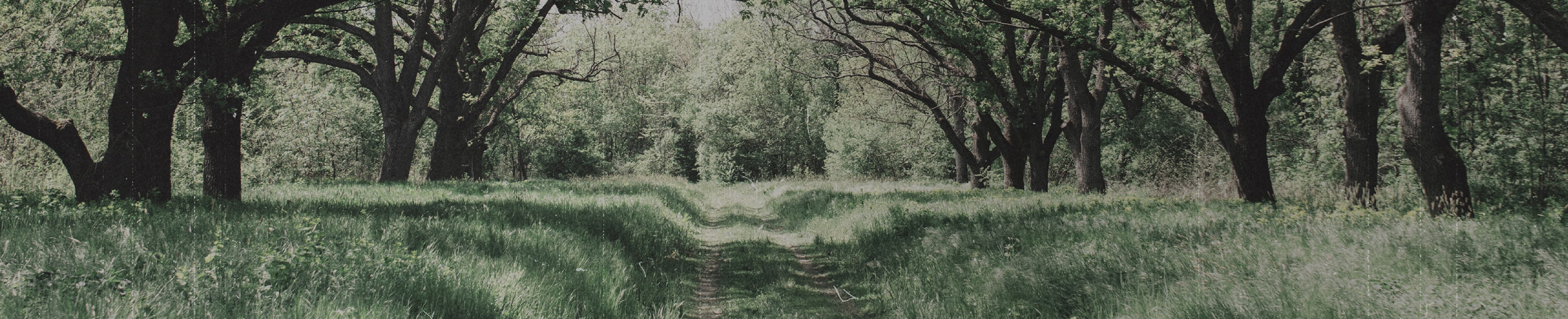 USING WHAT GOD PROVIDES