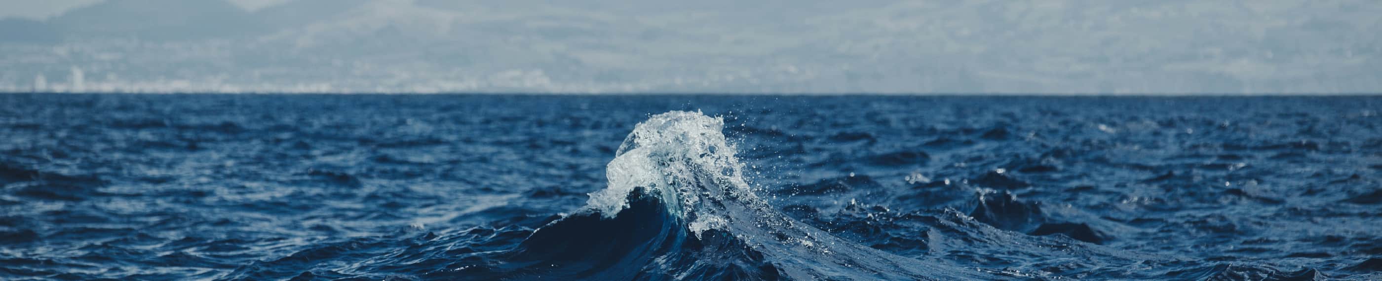 WORTH THE WAIT