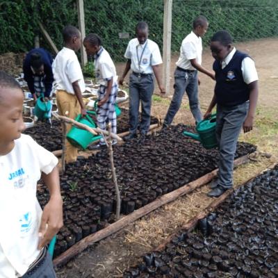 4k Club Cultivates A Green Future 12
