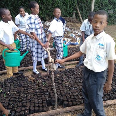 4k Club Cultivates A Green Future 14