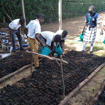 4k Club Cultivates A Green Future 15