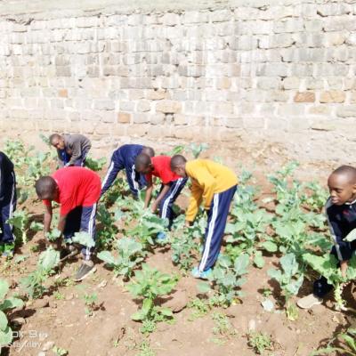 4k Club Cultivates A Green Future 18