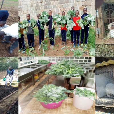4k Club Cultivates A Green Future 1