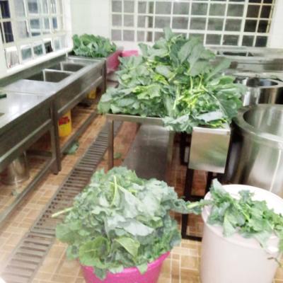4k Club Cultivates A Green Future 6